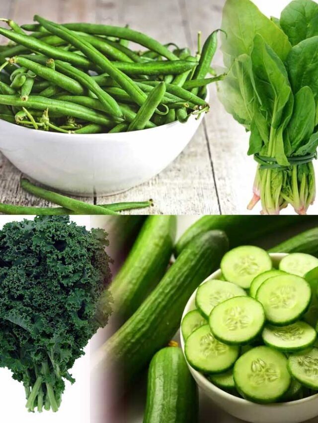 WHAT NUTRIENTS DOES GREEN VEGETABLES CONTAIN visual data 3